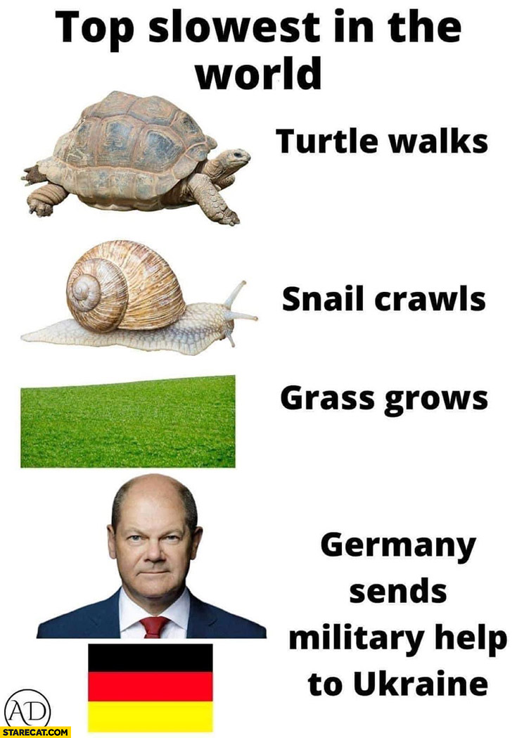 Top slowest in the world: turtle walks, snail crawls, grass grows, Germany sends military help to Ukraine