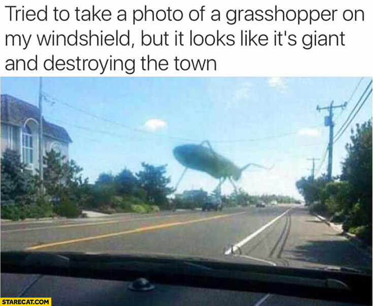 Tried to take a photo of a grasshopper on my windshield but it looks like it’s giant and destroying town