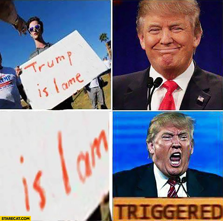 Trump is lame islam triggered