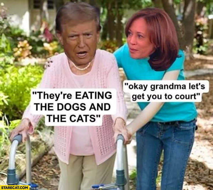 Trump: they’re eating the dogs and the cats, Kamala: ok grandma let’s get you to court