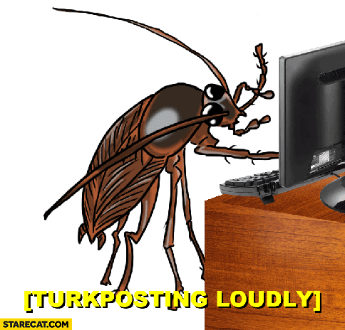 Turkposting loudly cockroach Turkey Turkish meme animated gif