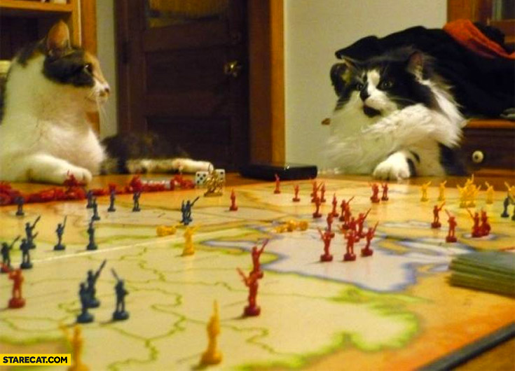 Two cats playing risk board game silly photo