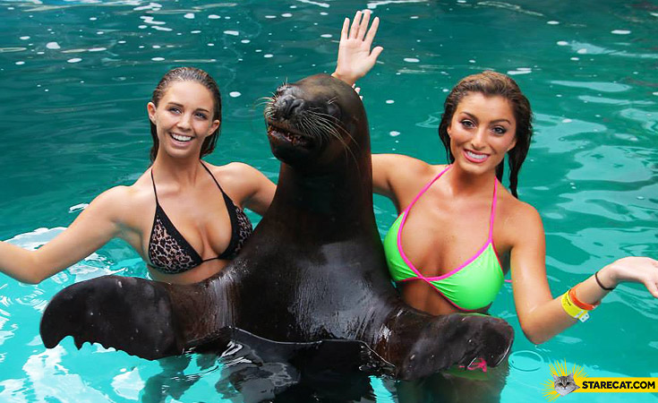 Two girls one seal