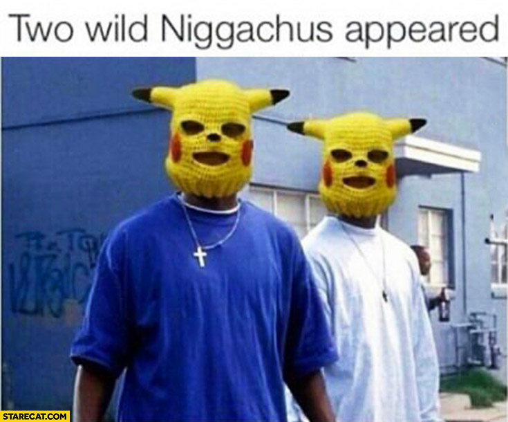 Two wild Niggachus appeared