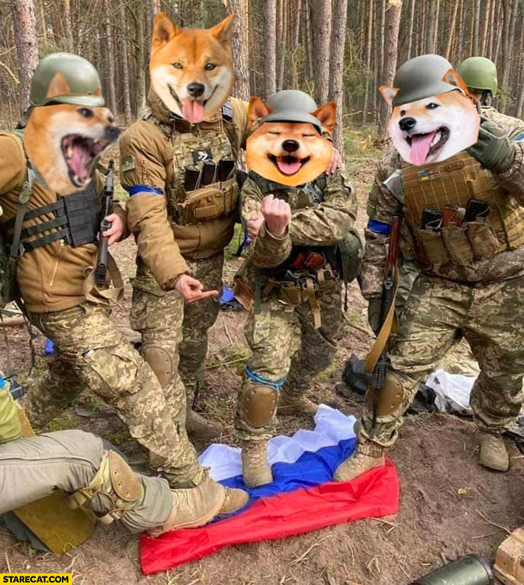 Ukrainian soldiers trampling russian flag dog doge faces