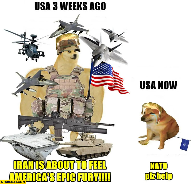 USA 3 weeks ago Iran is about to feel America’s epic fury vs USA now: NATO please help dog doge cheems