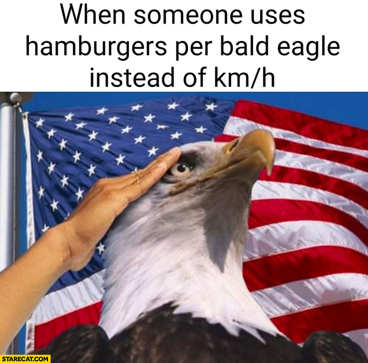 USA eagle when someone uses hamburgers per bald eagle instead of kilometers per hour