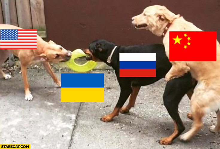 USA Russia fighting over Ukraine, China on Russia dog dogs