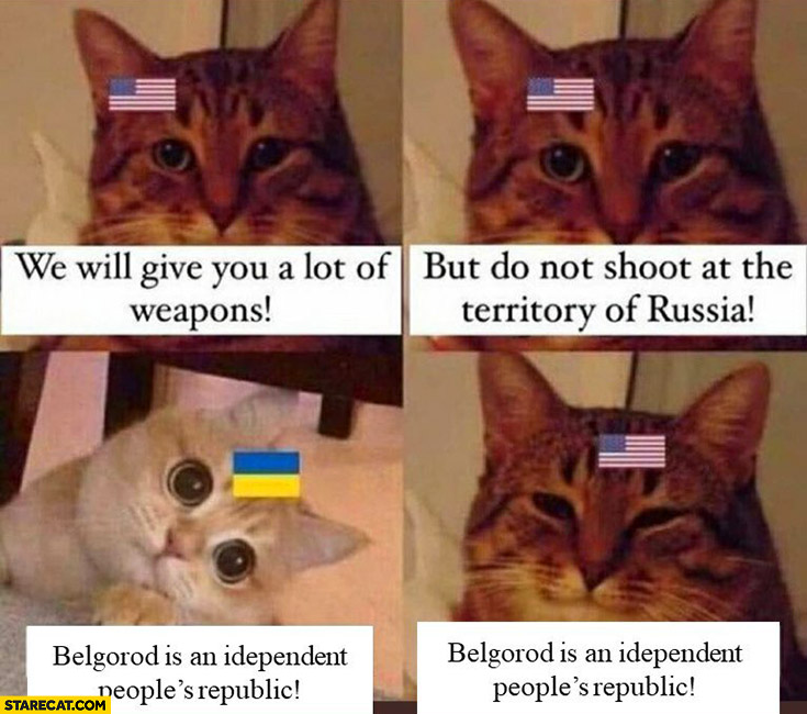 USA to Ukraine we will give you weapons but do not shoot at the territory of russia, Belgorod is an independent republic yes cats
