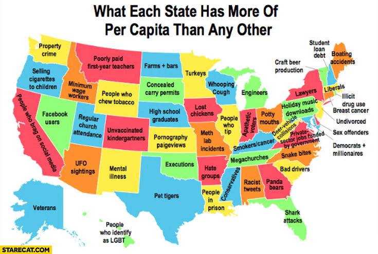 USA what each state has more of per capita than any other
