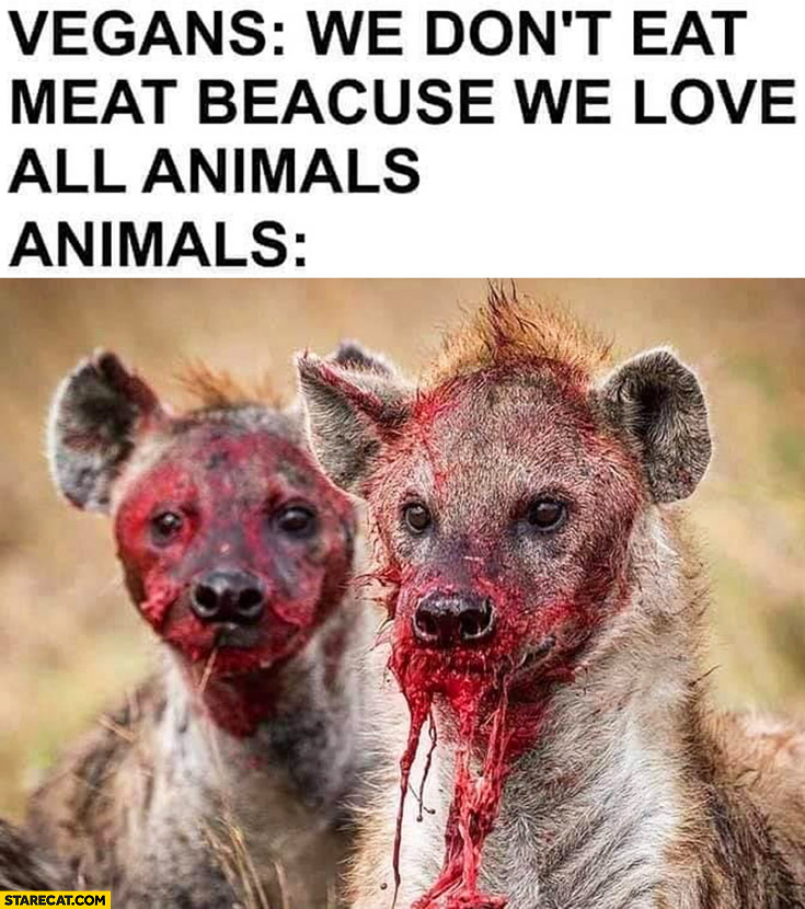 Vegans: we don’t eat meat because we love all animals they actually eat meat
