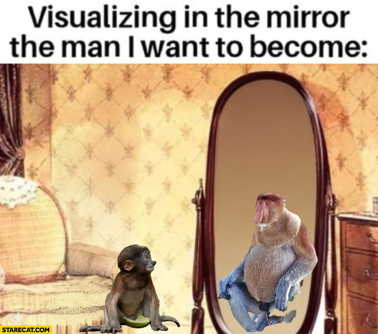 Visualizing in the mirror the man I want to become ape proboscis monkey