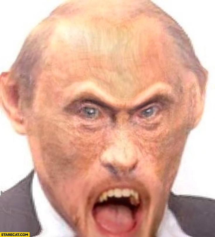 Vladimir Putin angry monkey retarded photoshopped