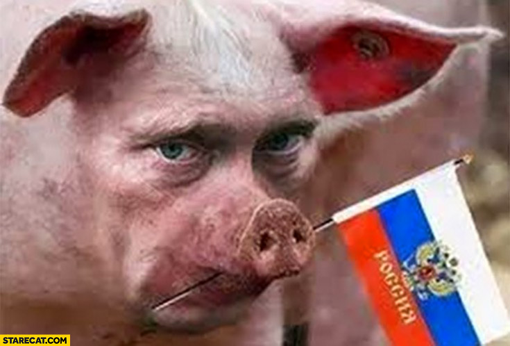 Vladimir Putin as a pig with russian flag photoshopped