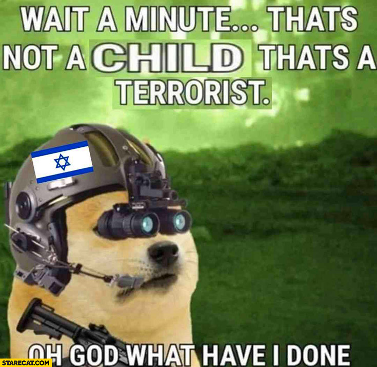 Wait a minute that’s not a child that’s a terrorist oh god what have I done doge Israeli soldier Israel jews