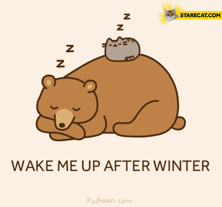 Wake me up after winter Pusheen