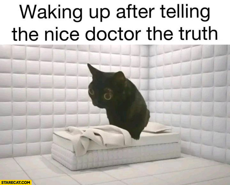 Waking up after telling the nice doctor the truth confused cat psychiatric ward hospital