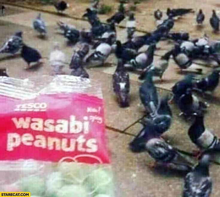 Wasabi peanuts pigeons meme Tesco