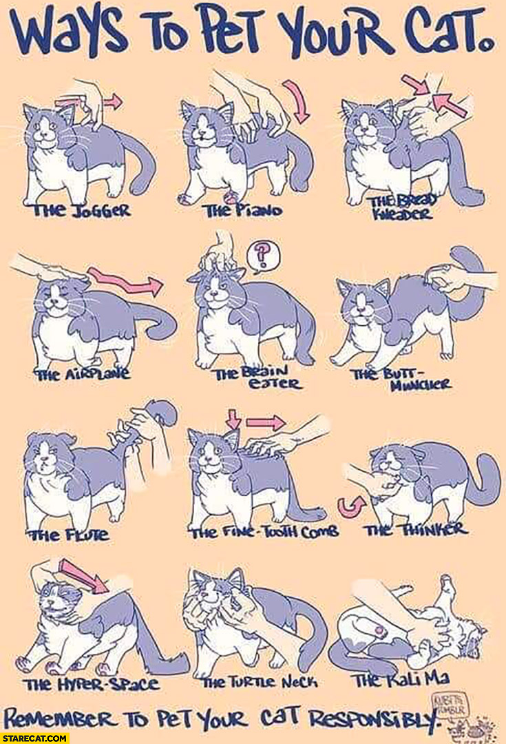 Ways to pet your cat infographic
