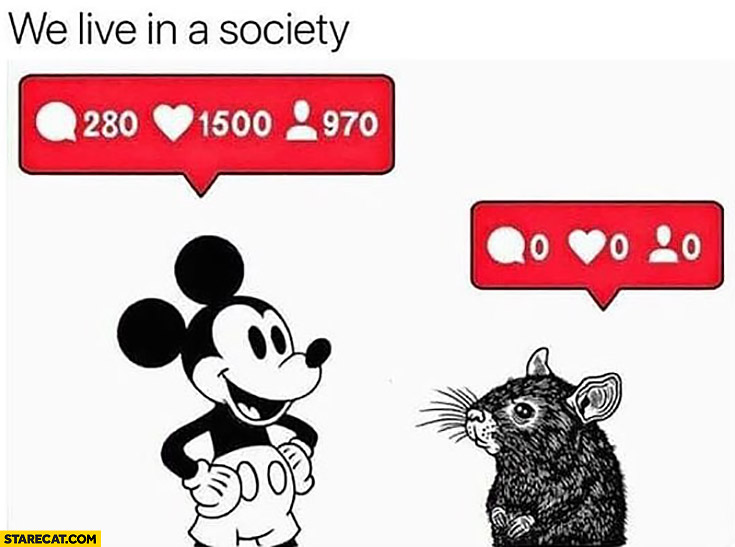 We live in a society where fake Mickey Mouse has more likes follows than regular mouse