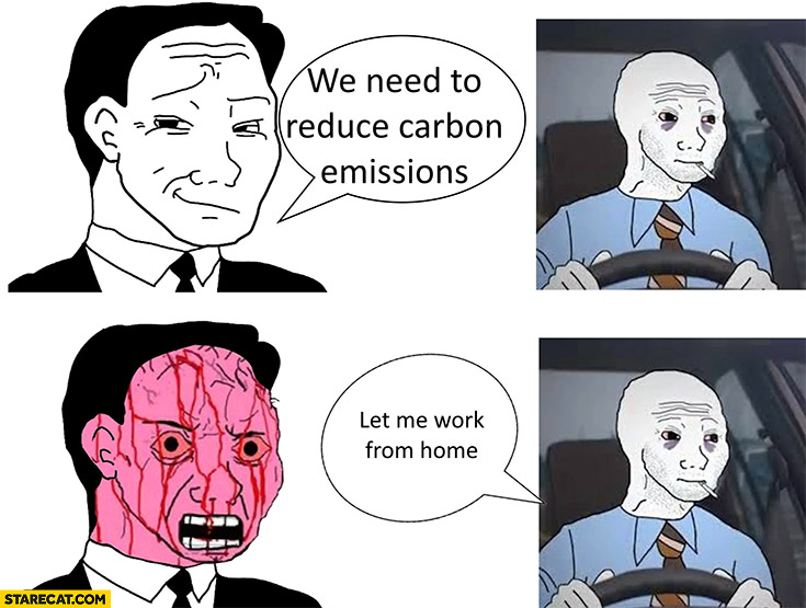 We need to reduce carbon emissions, let me work from home no way