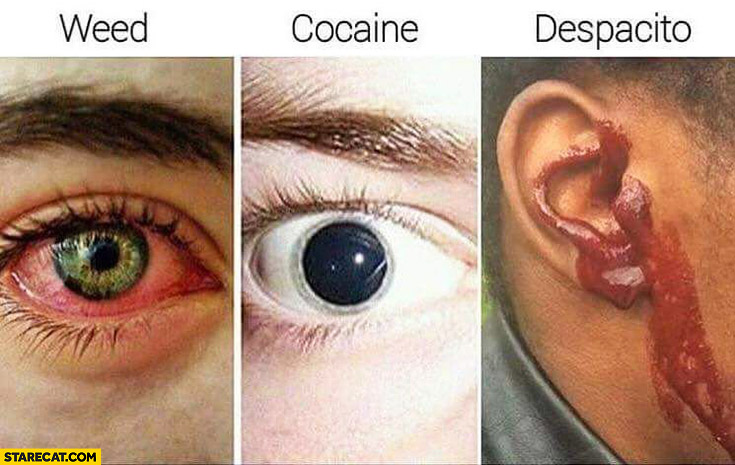 Weed, cocaine, Despacito bloody ear fail