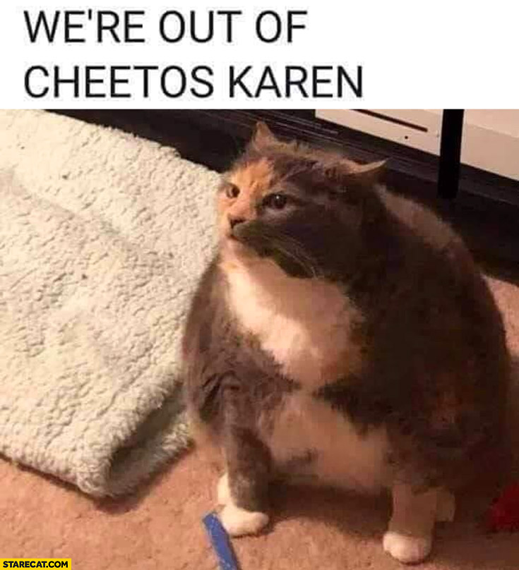 We’re out of Cheetos Karen fat cat