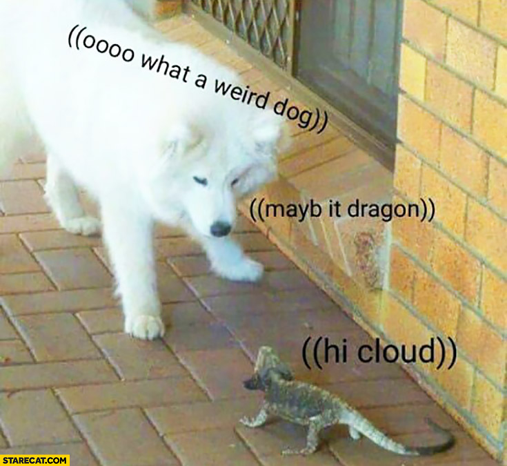 What a weird dog, maybe it’s a dragon, hi cloud. Dog talking to a lizard