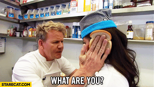 What are you? An idiot sandwich Gordon Ramsay