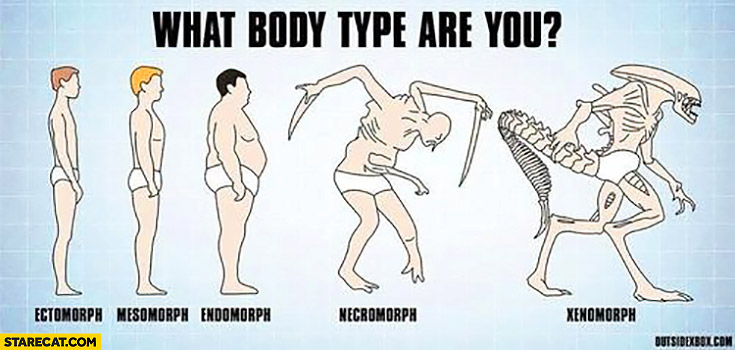 What body type are you: ectomorph, mesomorph, endomorph, necromorph, xenomorph