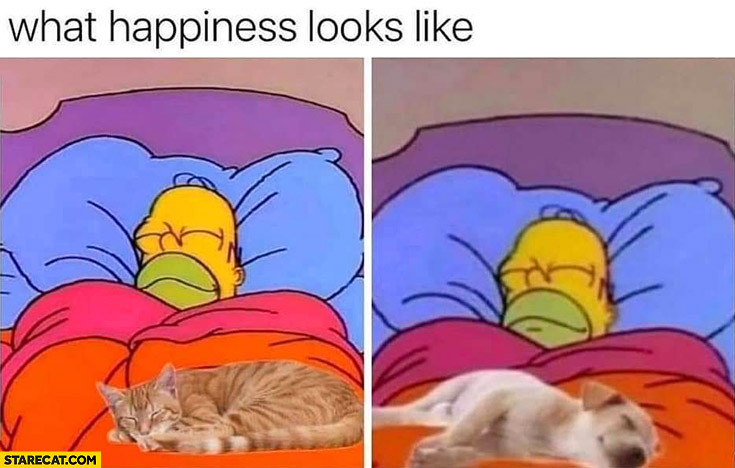 What happiness looks like sleeping with a cat dog the Simpsons