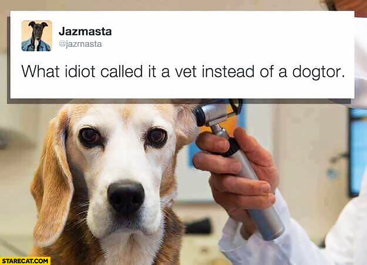 What idiot called it a vet instead of a dogtor?