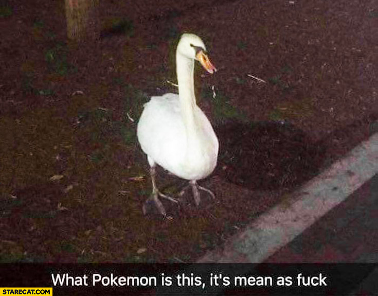 What pokemon is this? It’s mean as fck. Pokemon GO swan Snapchat