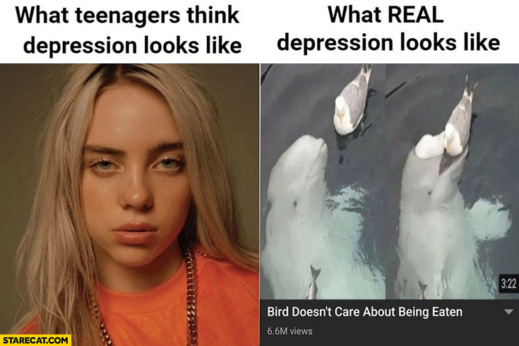 What teenagers think depression looks like Billie Eilish vs what real repression looks like bird doesn’t care about being eaten