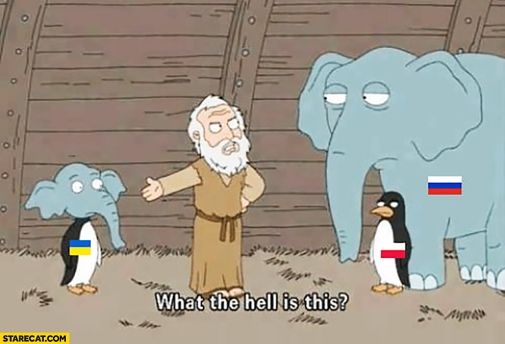 What the hell is this? Ukraine Poland Russia Noah’s Ark elephant penguin