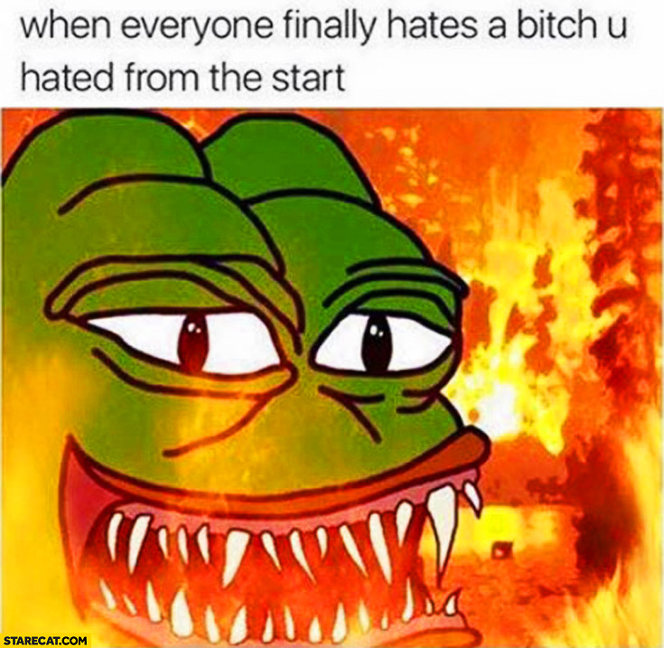 When everyone finally hates a bitch you hated from the start sad frog meme