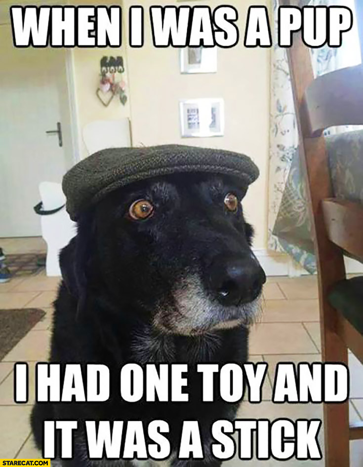 When I was a pup I had one toy and it was a stick old dog