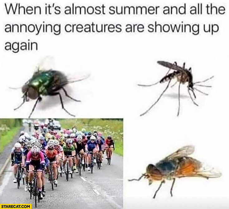 When it’s almost summer and all the annoying creatures are showing up again cyclists insects