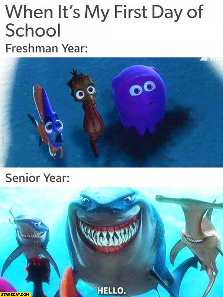 When it’s my first day of school: freshman year, senior year fish
