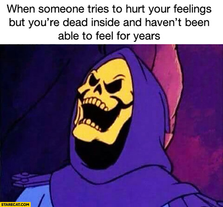 When someone tries to hurt your feelings but you’re dead inside and haven’t been able to feel for years Skeletor
