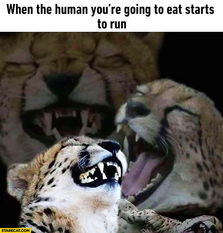 When the human you’re going to eat starts to run leopard