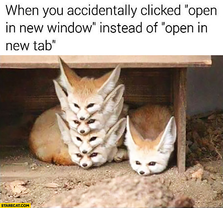 When you accidentally clicked “open in new window” instead of “open in new tab”. Stacked foxes
