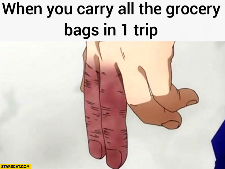 When you carry all the grocery bags in 1 trip purple fingers