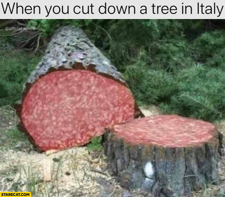 When you cut down a tree in Italy salami inside