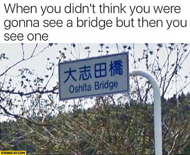 When you didn’t think you were gonna see a bridge but then you see one Oshita Bridge