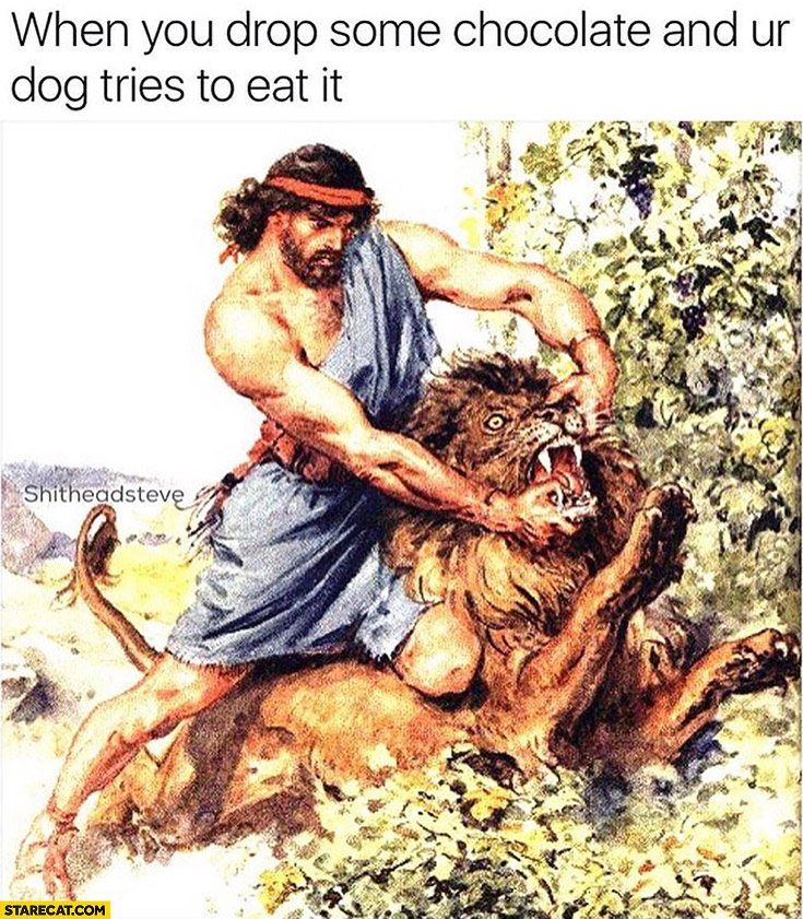 When you drop some chocolate and your dog tries to eat it. Man fighting lion