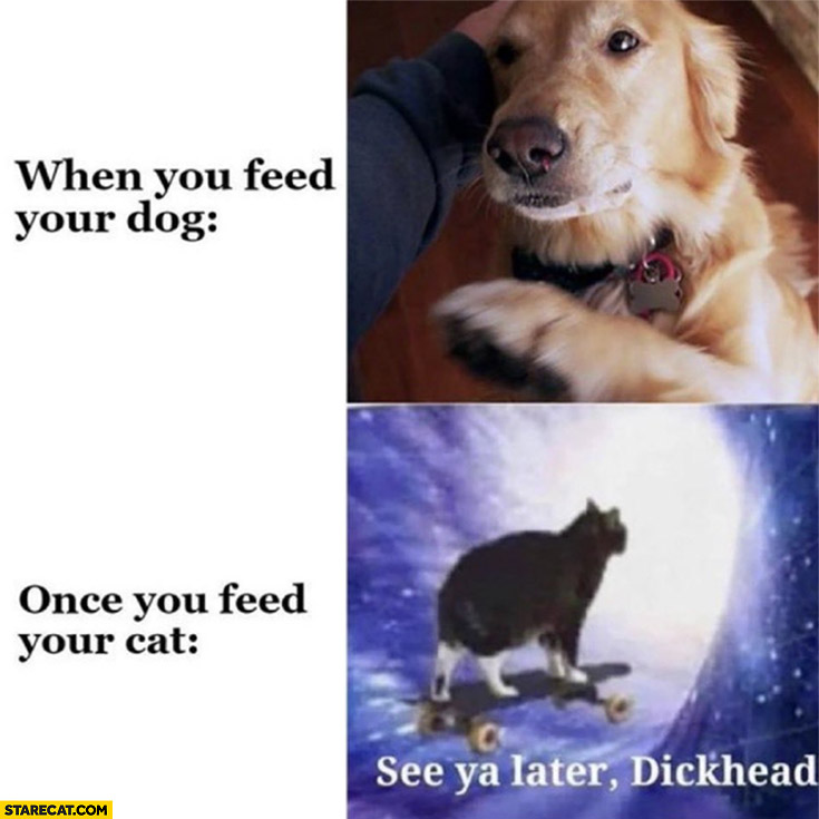 When you feed your dog he loves you vs once you feed your cat see ya later dickhead