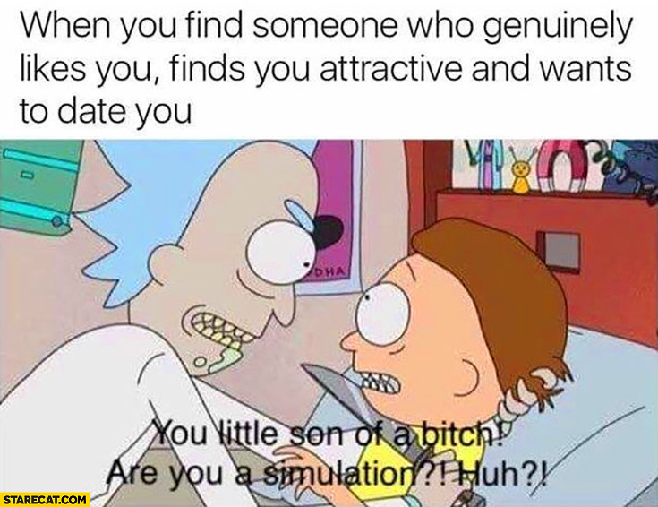 When you find someone who genuinely likes you, finds you attractive and wants to date you: are you a simulation?