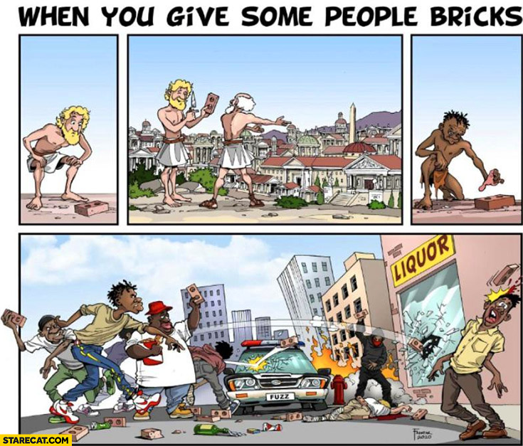 When you give some people bricks white people build a city black people burn the city