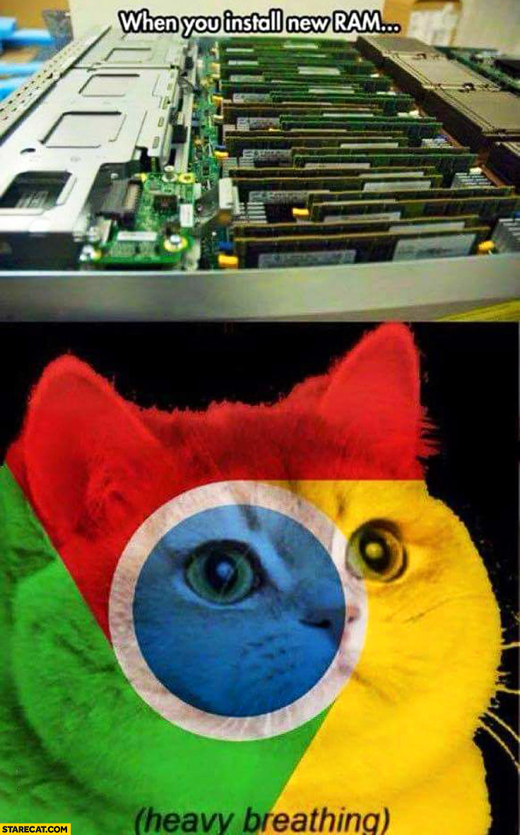 When you install new ram Chrome logo cat heavy breathing